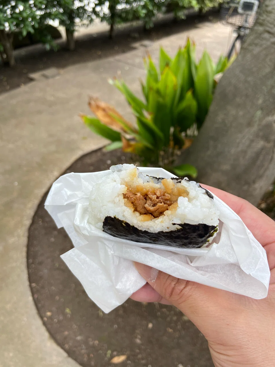 画像5