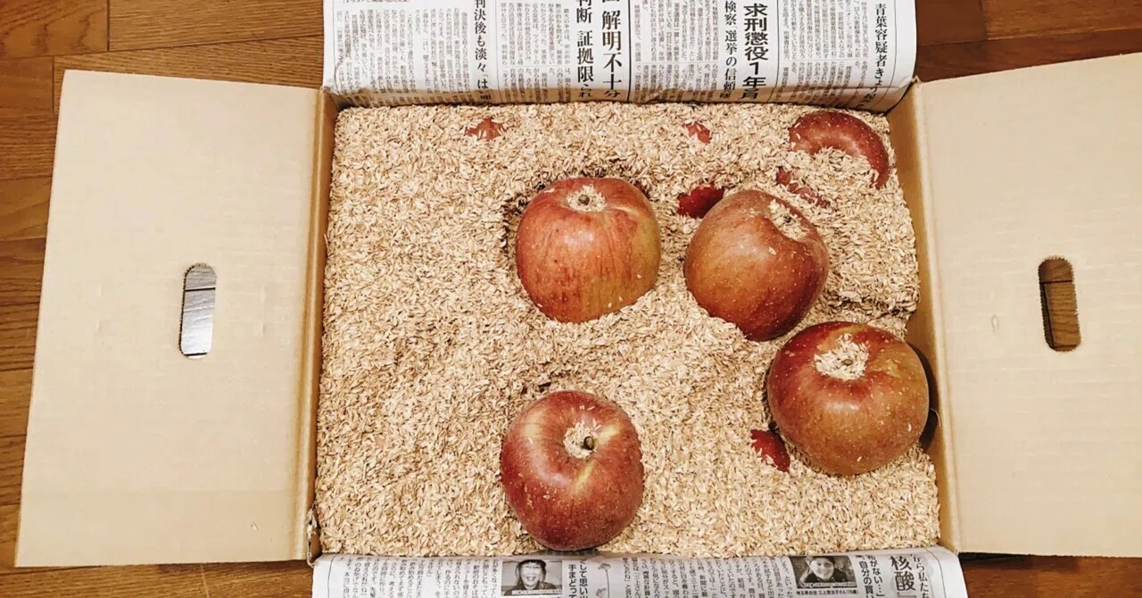 リンゴ100日チャレンジ93日目🍎熱出てきた｜咲良幸