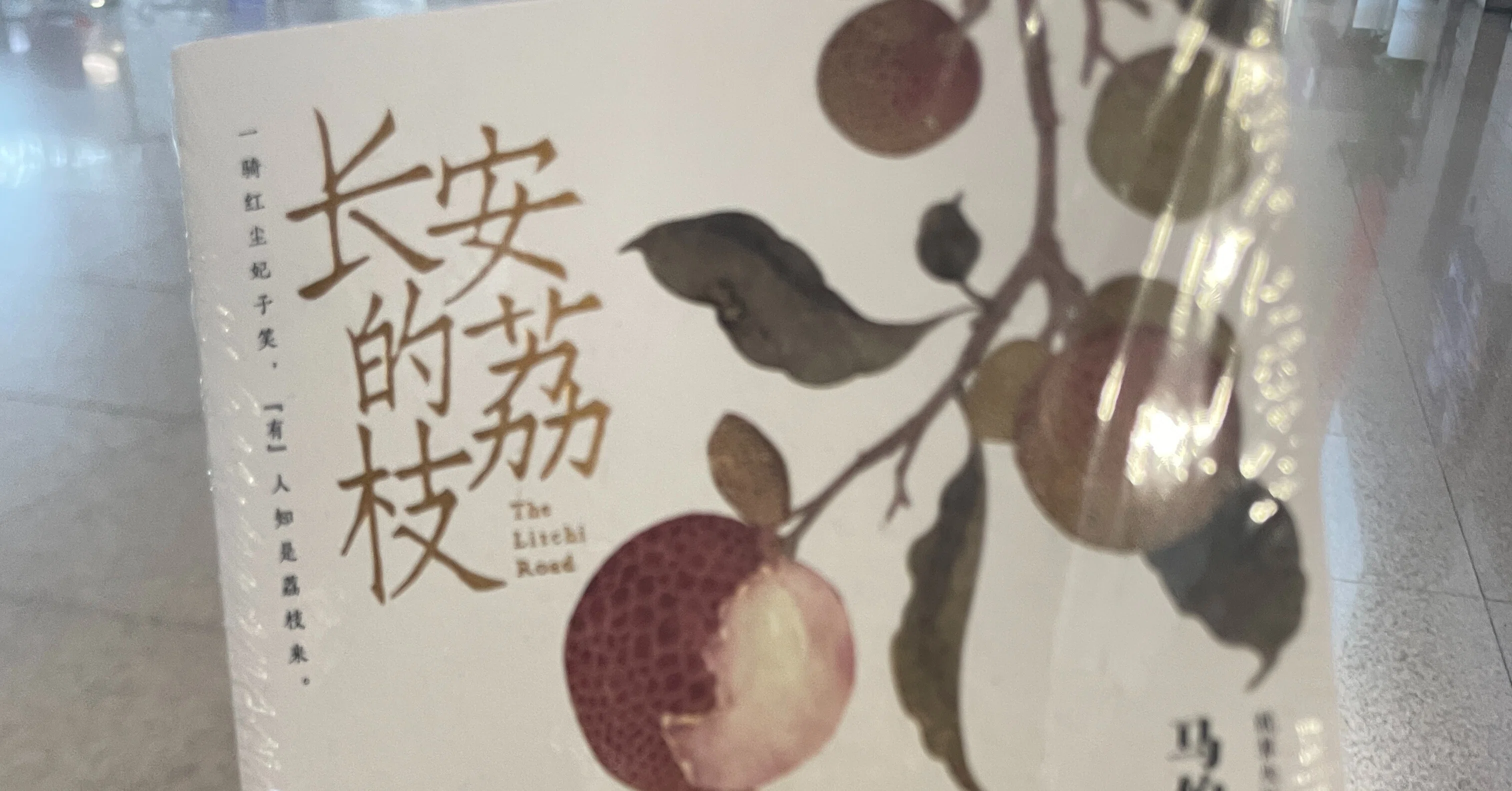 【中古】 中国旅行きまり文句 中国旅行きまり文句 中古本・書籍 | ブックオフ公式オンラインストア
