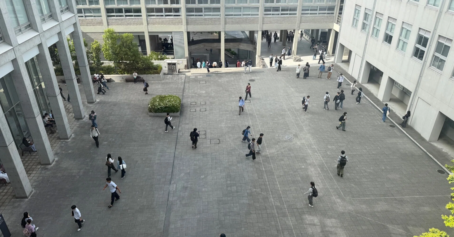 早稲田大学文化構想学部のいいところ5選🎖️✨｜vanessa_waseda