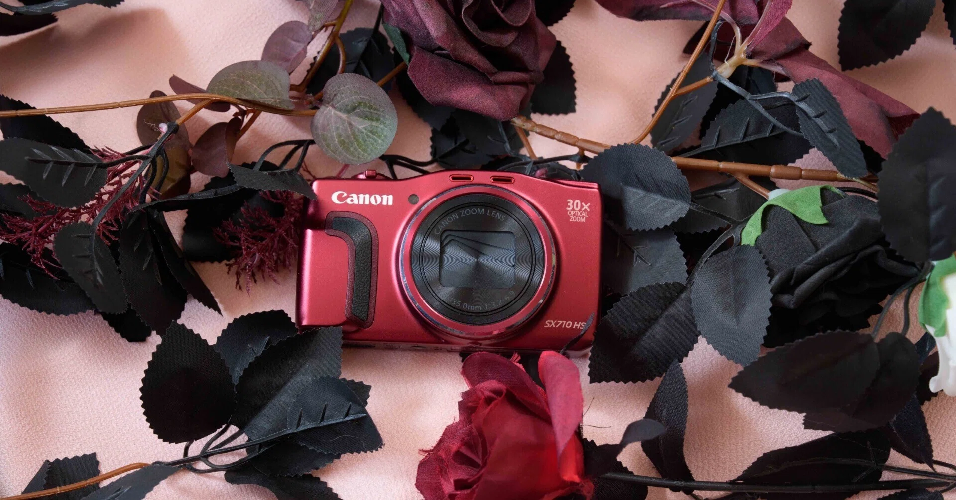 爆速AFに驚く。2015年の名機 Canon PowerShot SX710 HSが今、面白い