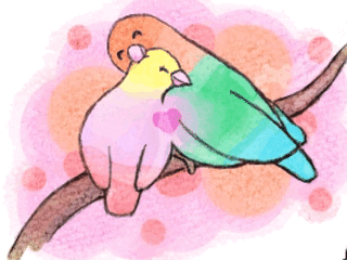 かわいんこ7 ふんわり Note かわいんこ7 ふんわり Note