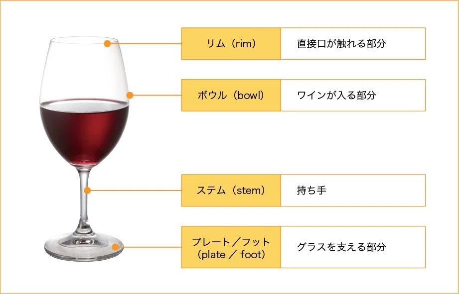 ワインの味わいを何倍も引き立たせる！僕的デイリーユースグラス 用途 