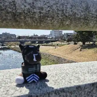 秋島由鷹