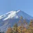 てんウキウキ