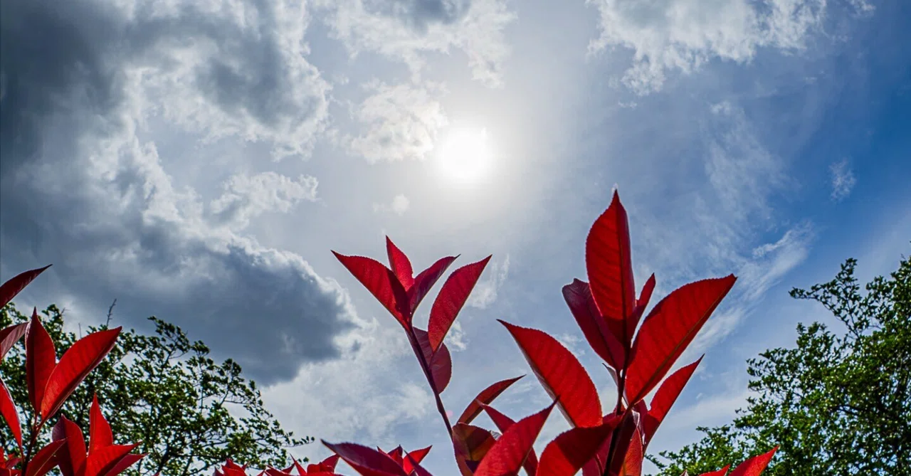 “Lightness” sets your perspective free. Early summer snapshots with the ...