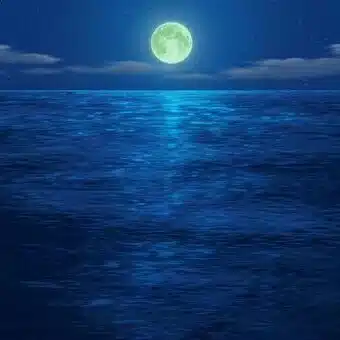 月凪（つきなぎ）