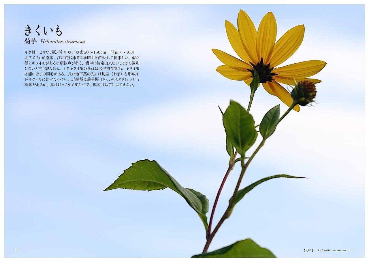 き の花 Taku Note