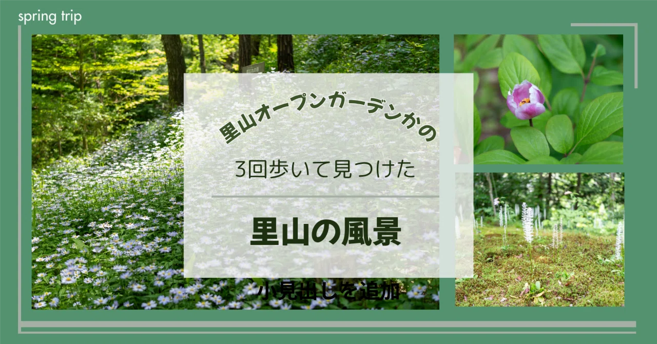里山オープンガーデンかの』は3回訪れるのがおすすめ。 春を歩いて