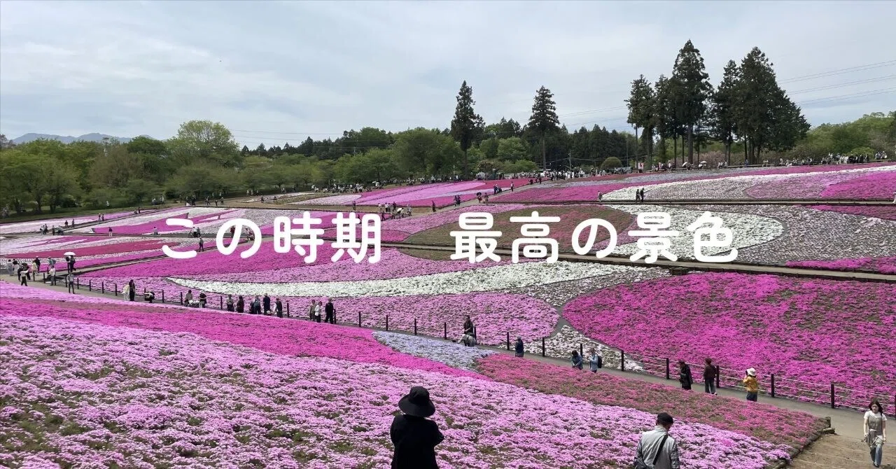 秩父・羊山公園芝桜が彩る、春の絶景。｜リターンライダー63