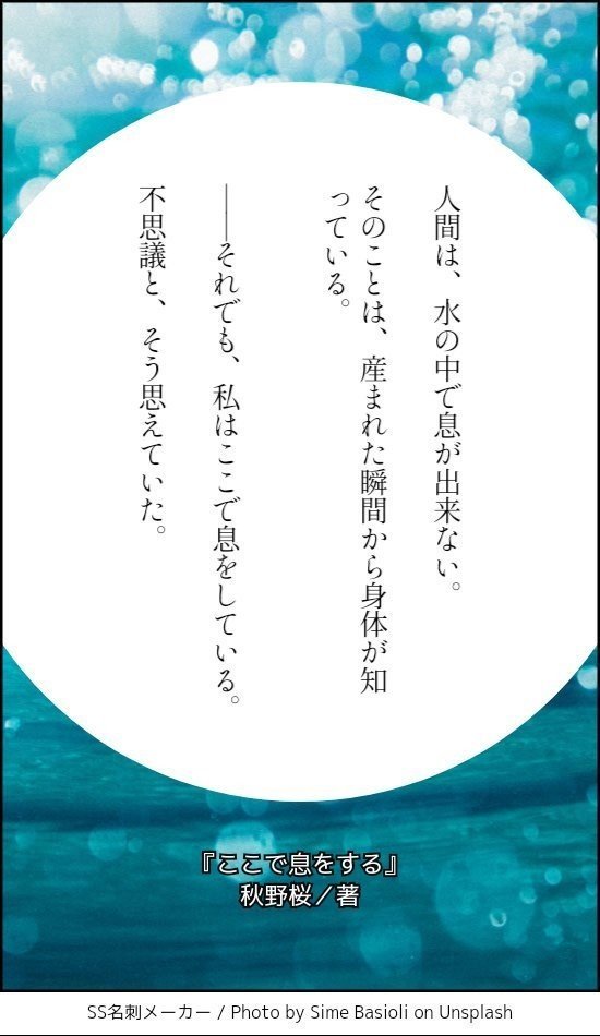 秋野桜 Note 秋野桜 Note