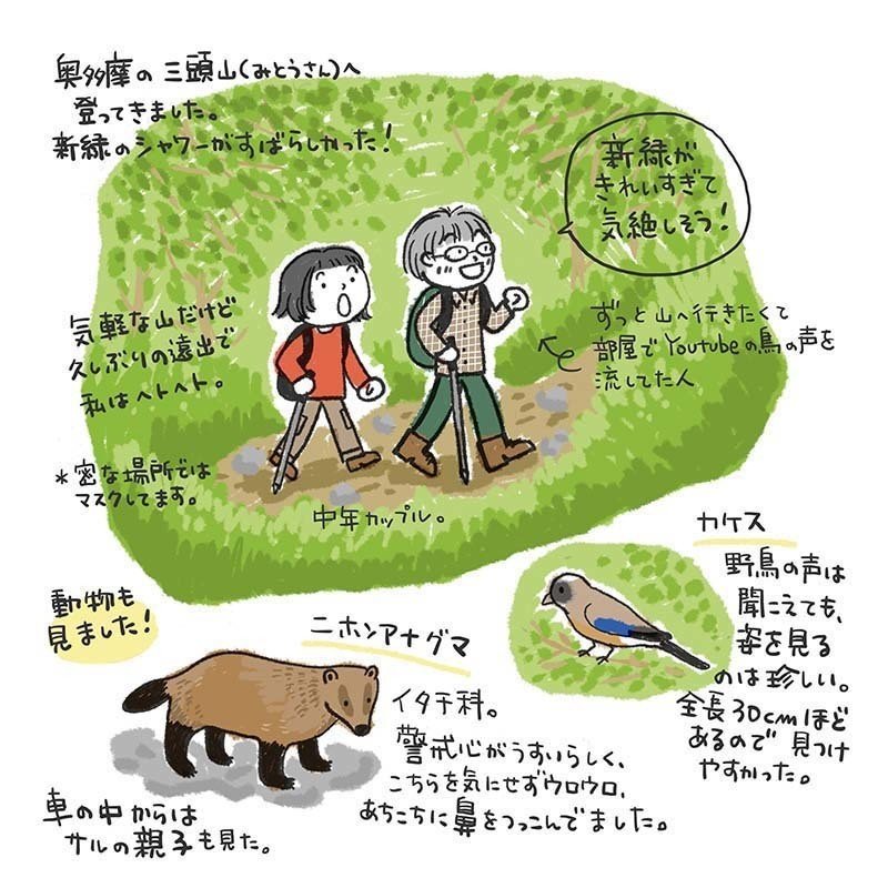 奥多摩の三頭山に登ってきました カワイミナミ イラストレーター Note