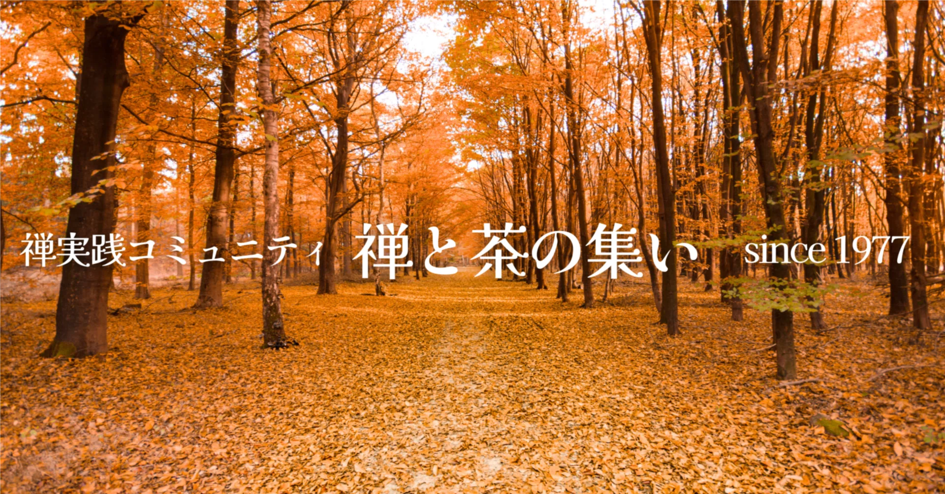 禅と茶の集い｜note