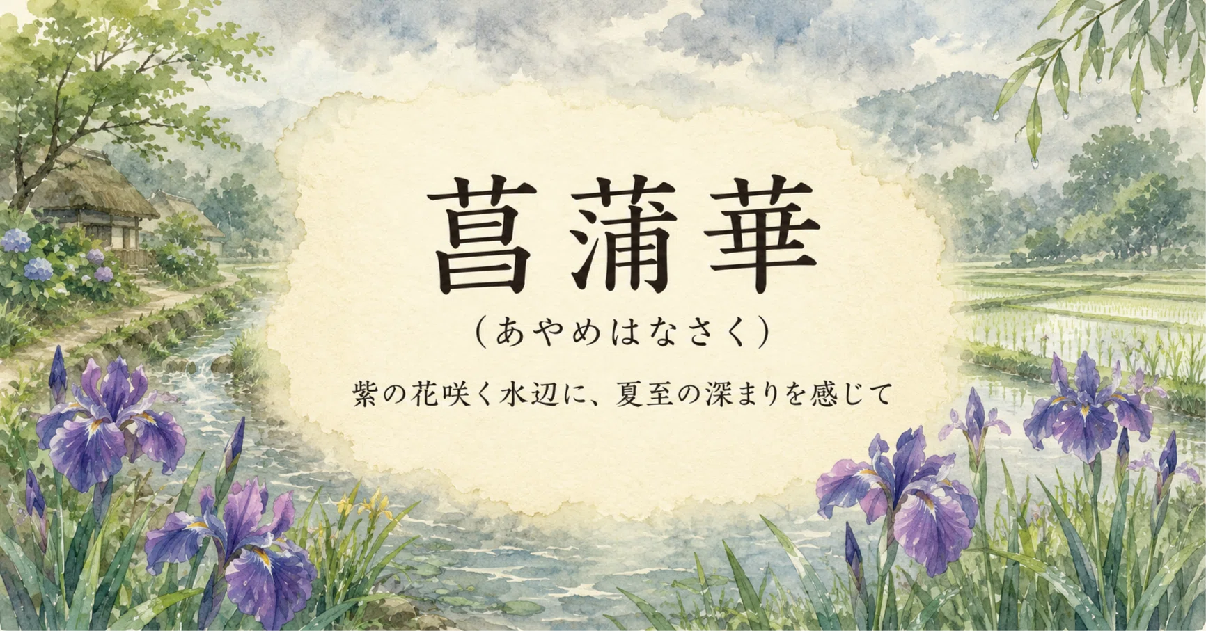 菖蒲華（あやめはなさく）｜紫の花咲く水辺に、夏至の深まりを感じて