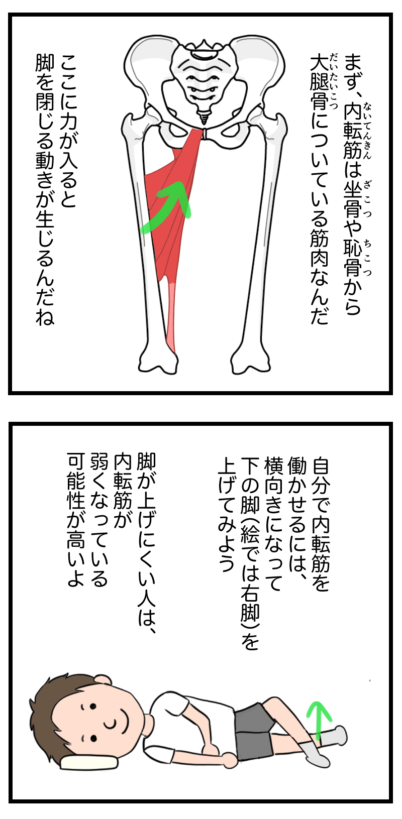 姿勢下肢深層ライン2w