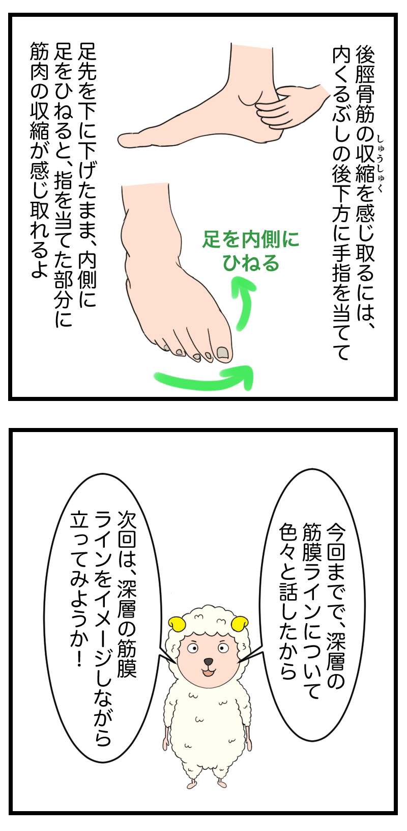 姿勢下肢深層ライン5w