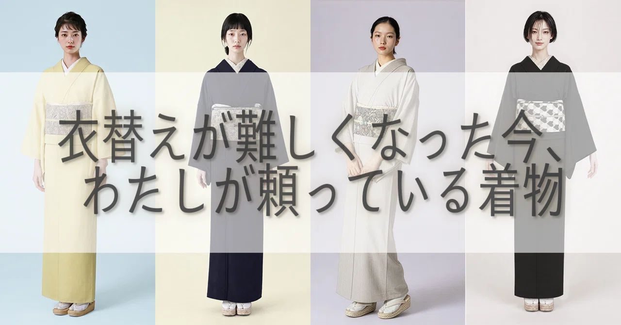 セオアルファの単衣、本当に便利です。｜閃光舎 SENKOSYA 着物・帯・半衿