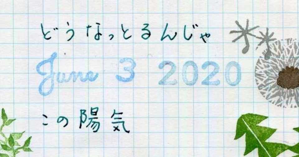 オオスカシバっこ 宿る イモムシ画像 Hitaki Note