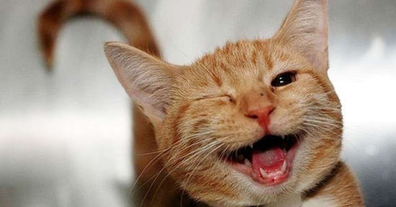 笑いのセンスが全くない人でも 松本人志さんを目指せるテクニック 松永俊彦 エモいプレゼン 著者 プレゼンコーチ Note