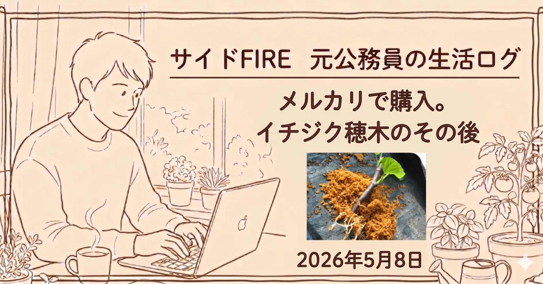 専用です。超絶レアイチジクTC12穂木⑤節目多め メルカリで買った「希少イチジク穂木」5銘柄の発根＆100均コーヒーの
