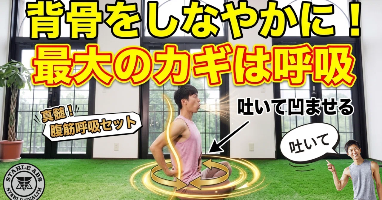 [STABLE ABS Practical Guide Part 4] The Foundation of Everything ...