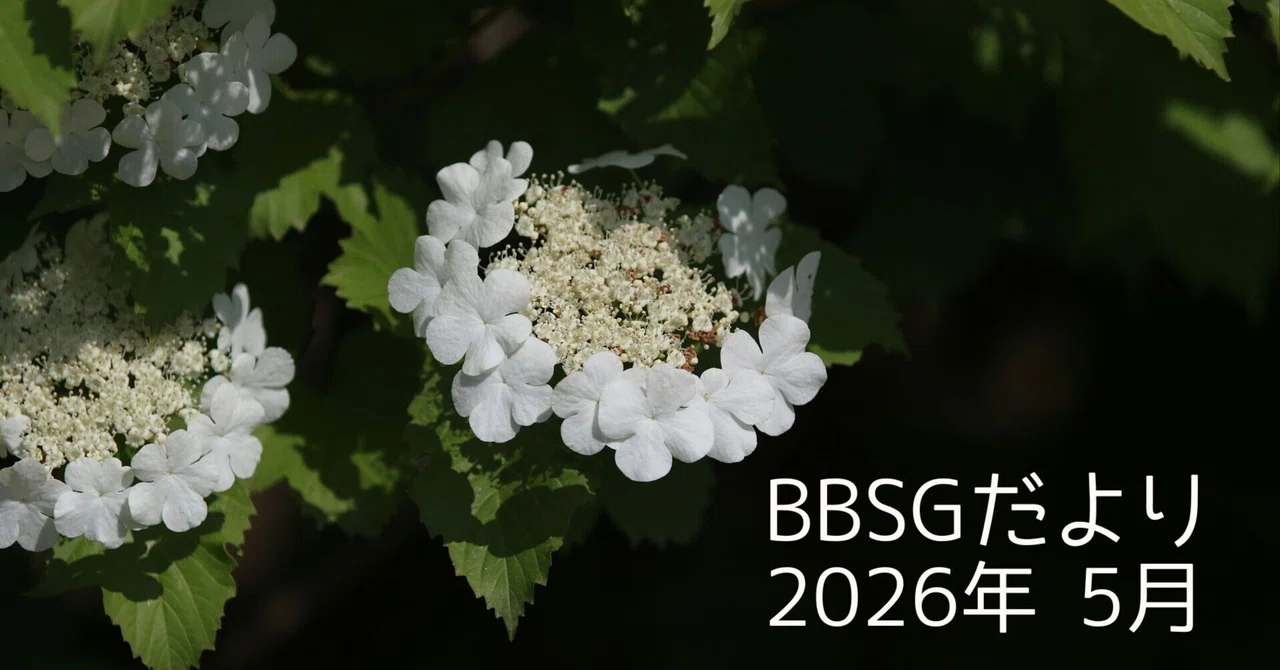 BBSGだより 2026年 5月｜pee