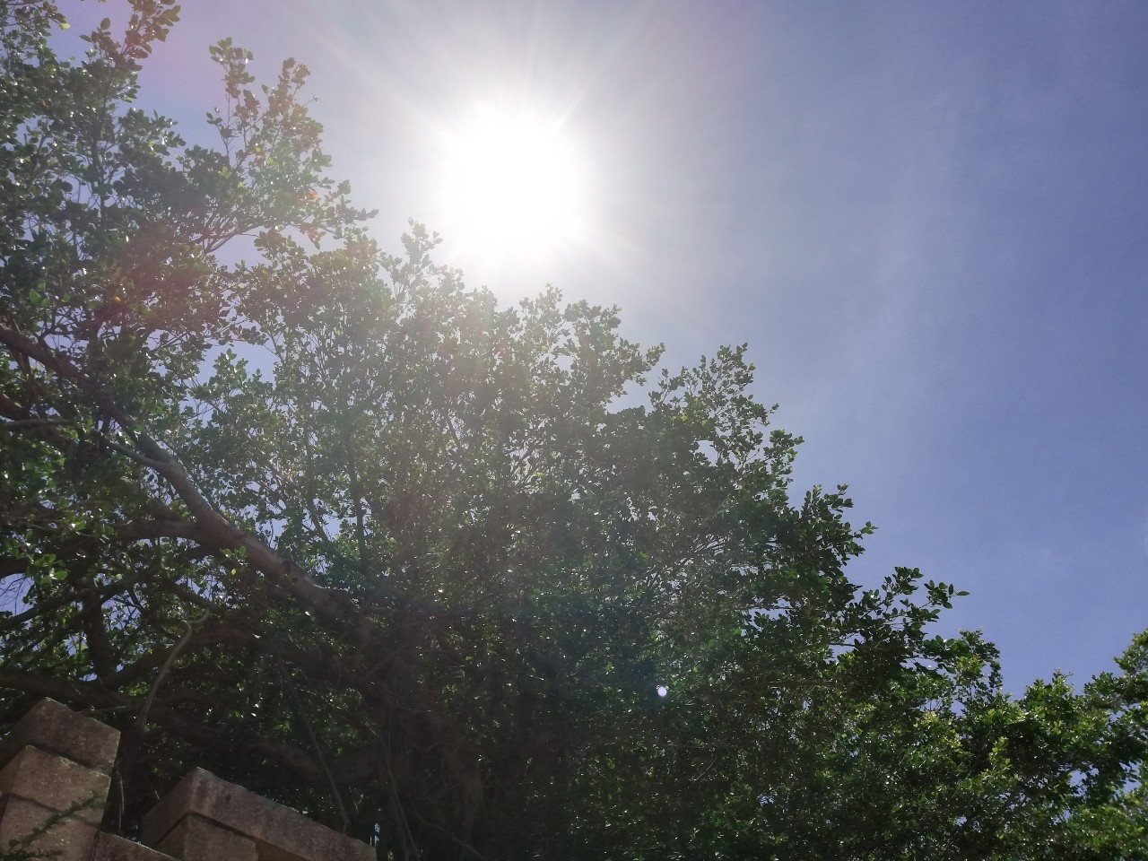 潜在意識のクリアリングと インナーチャイルドの癒しの関係とは プレマ三果 みか 愛で世界に貢献する Note