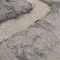 おかわ