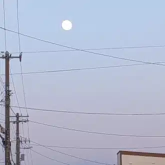 なぎ｜つれづれなるままに