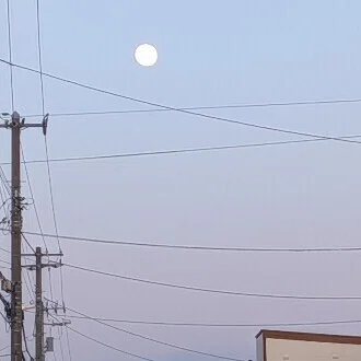 なぎ｜つれづれなるままに