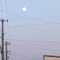 なぎ｜つれづれなるままに