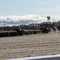 しごできオヤジの競馬ノート
