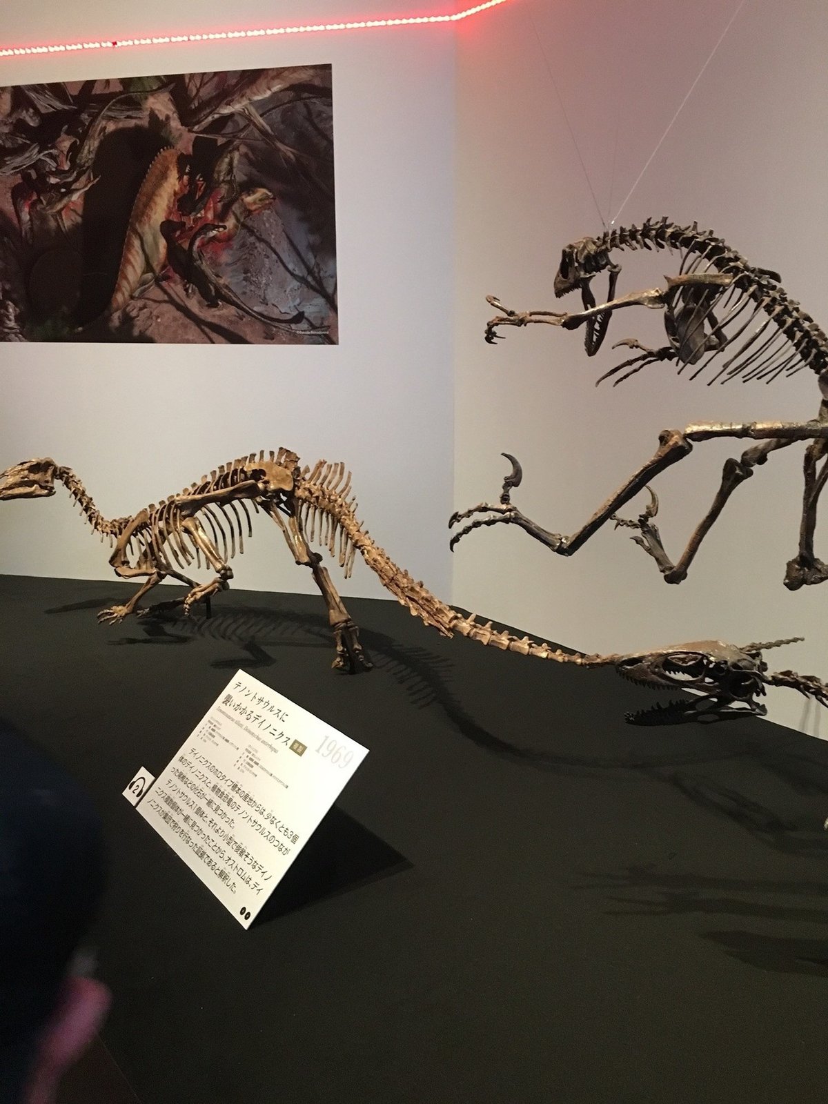 国立科学博物館 特別展 1｜R103