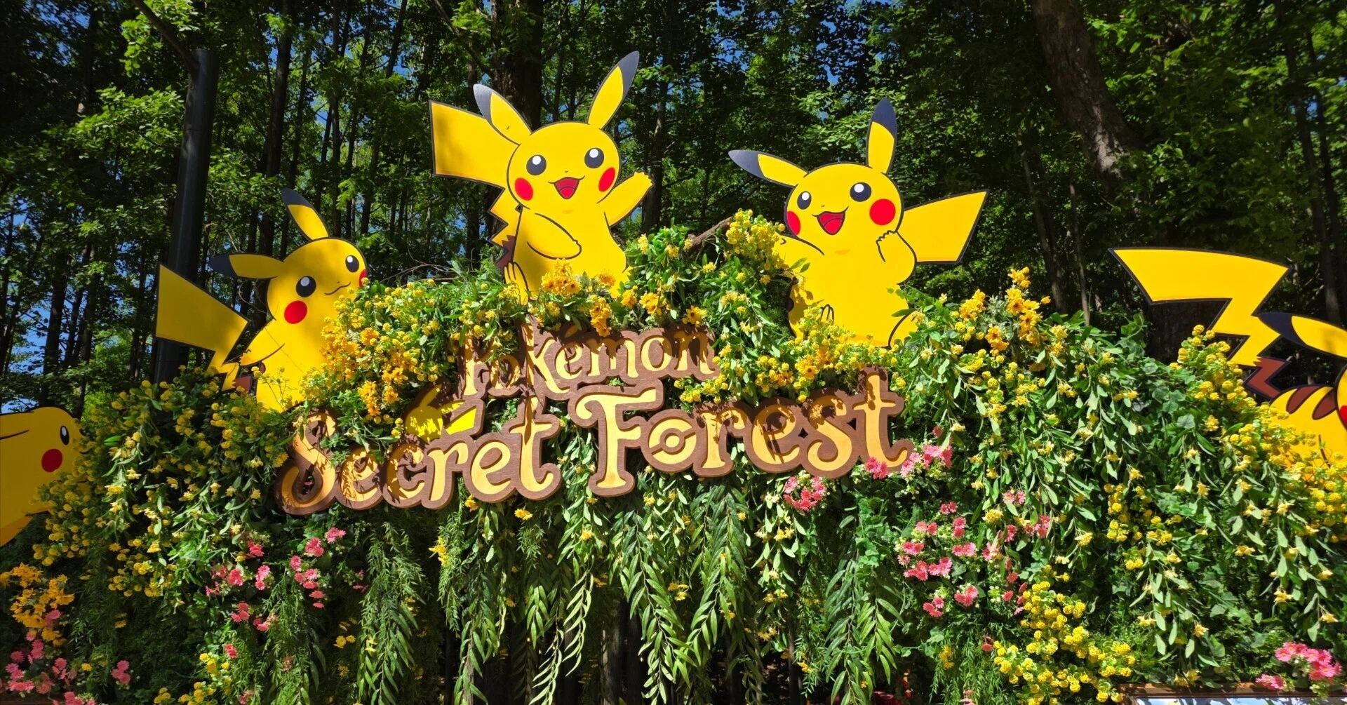 平日なのに大人気。ポケモンシークレットフォレストに行ってきた｜machi