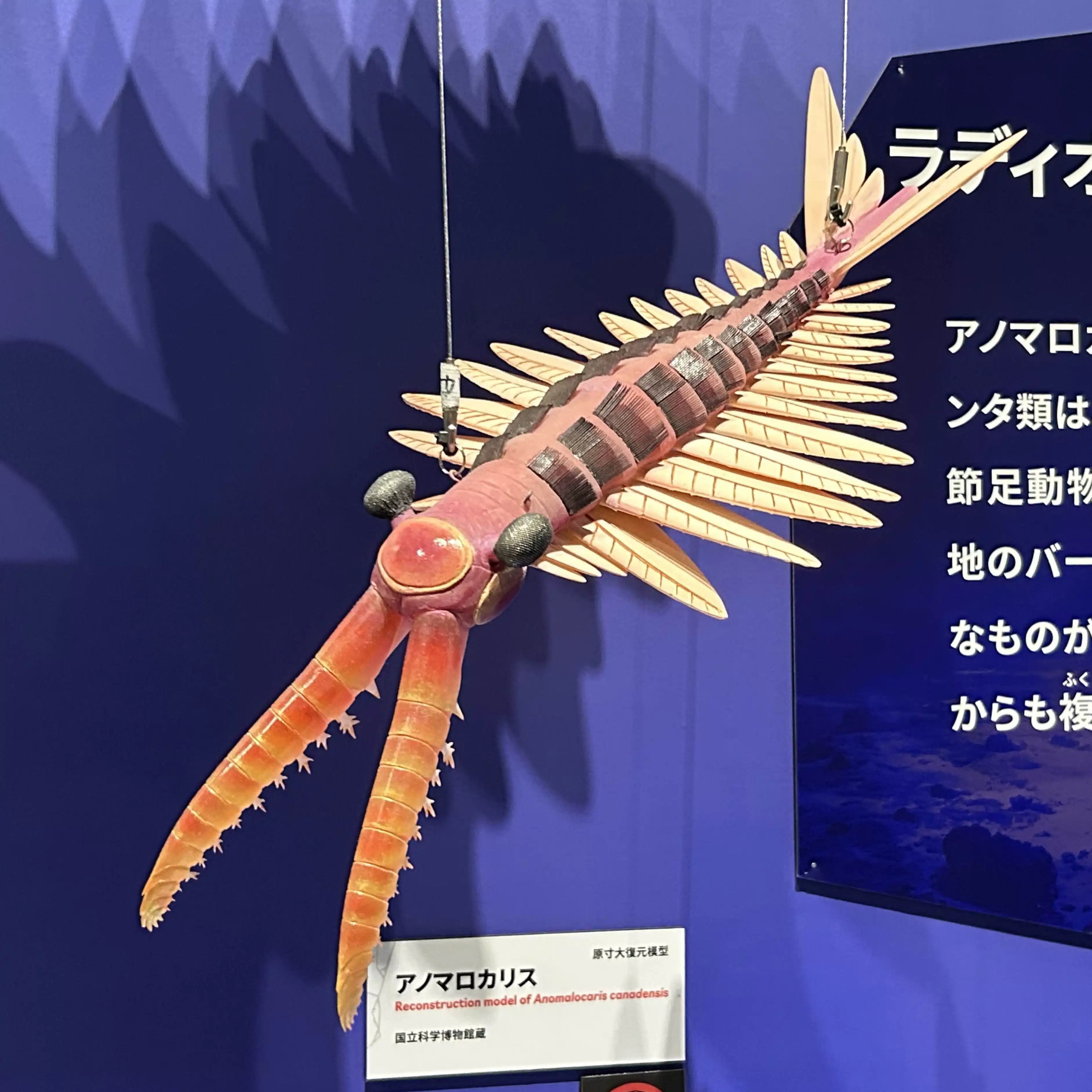 ぴーす