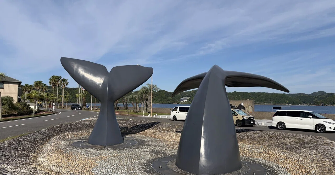 和歌山県太地町くじら公園｜ササミフライ