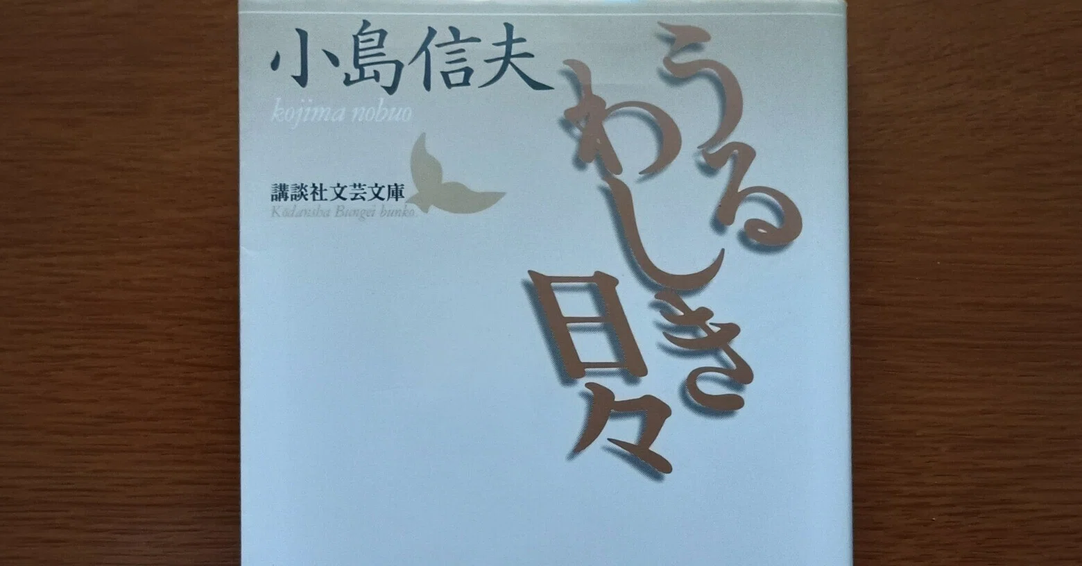 小島信夫『うるわしき日々』を読んで 2026/5/8｜三上和彦