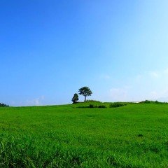 【10分でわかる】ふるさと納税の歴史