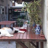 ミュージック ポートレイトごっこ Htnko Note