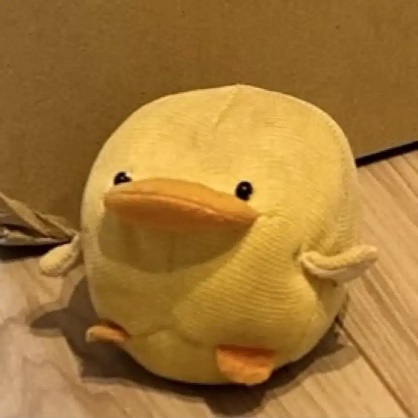 うしじま