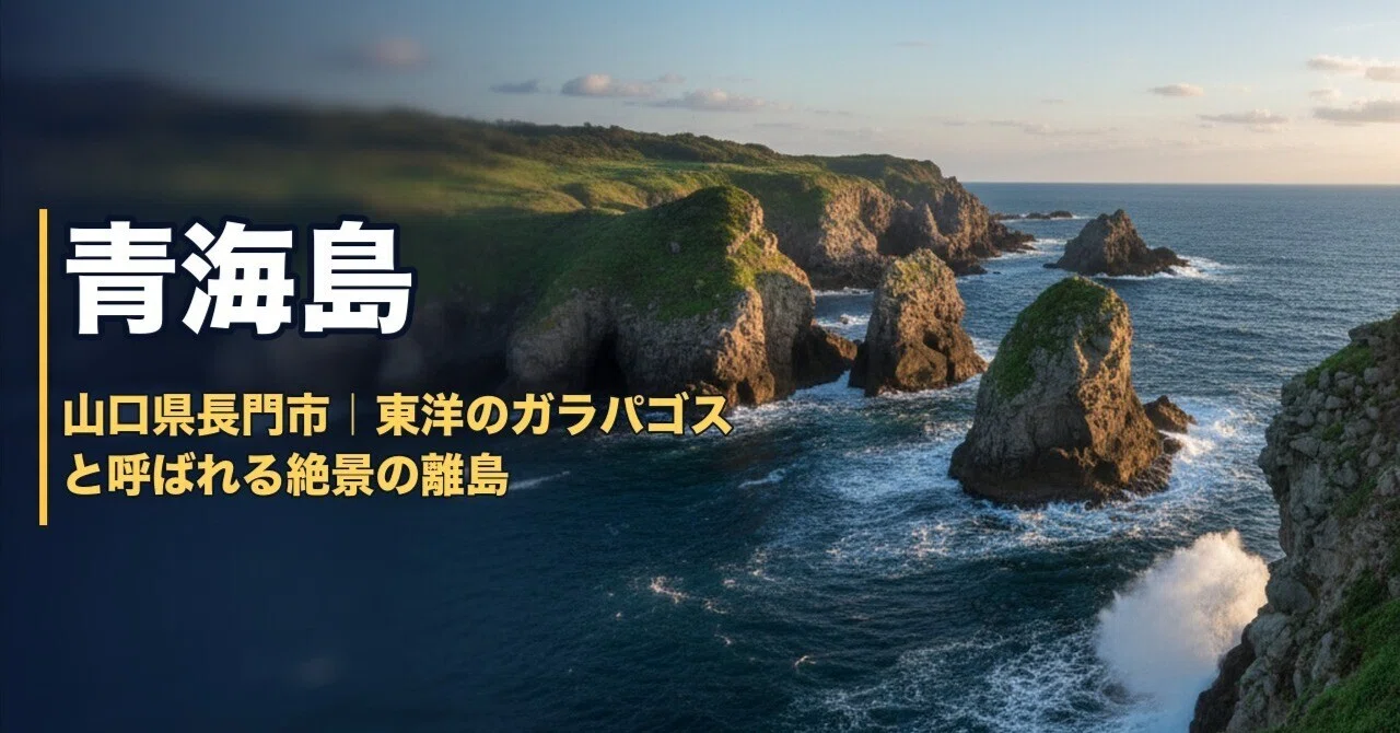 海上に２つの巌岩，男島、女島中央、左右，下部に流れる波の表現 昨日のミステリーツアーの最終目的地は、 糸島の二見ヶ浦、夫婦岩で