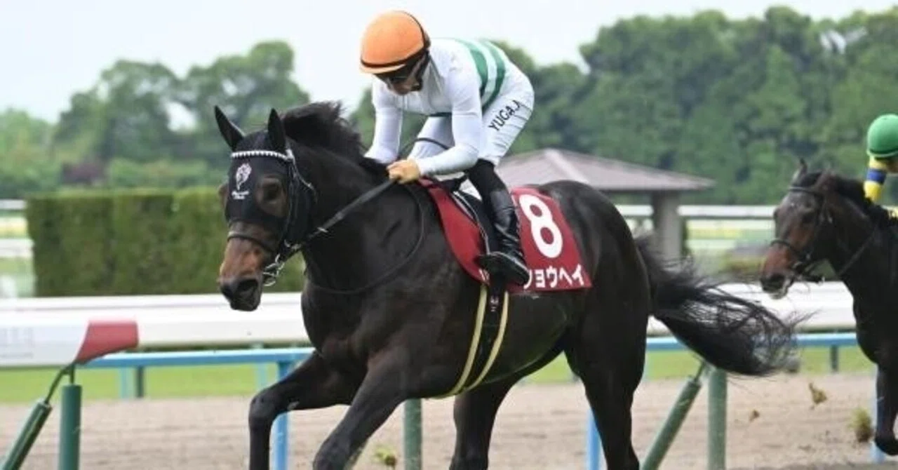 京都11レース 京都新聞杯｜ドカン馬券