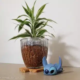 こいしまる