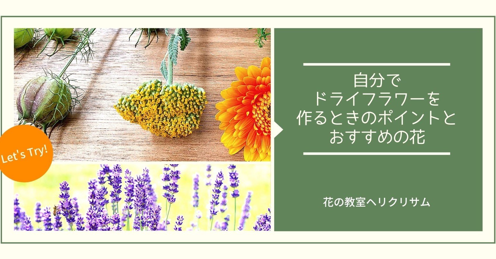 自分でドライフラワーを作るときの注意点とおすすめの花 ちゃっぴい Note 自分でドライフラワーを作るときの注意点とおすすめの花 ちゃっぴい Note
