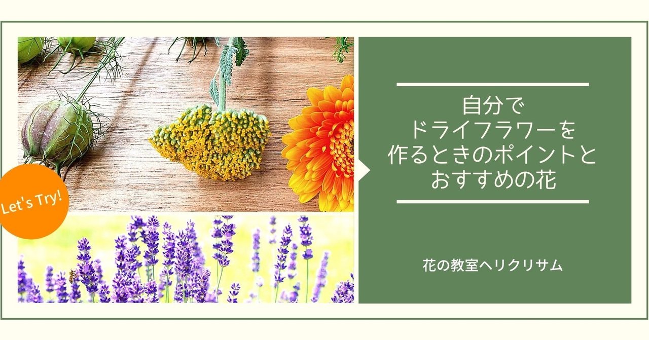 自分でドライフラワーを作るときの注意点とおすすめの花 ちゃっぴい Note