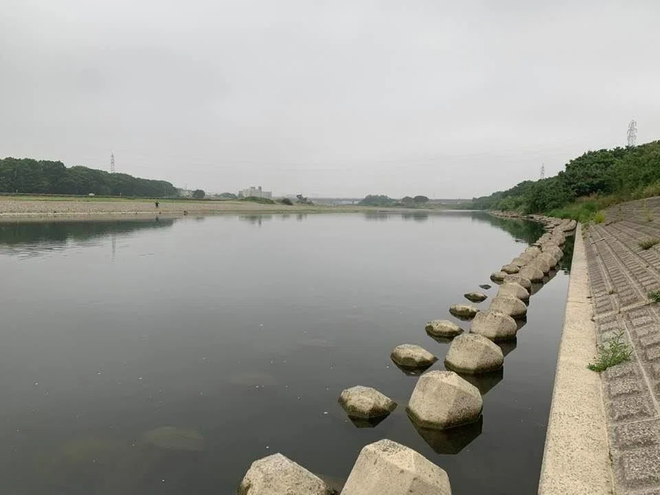 画像7