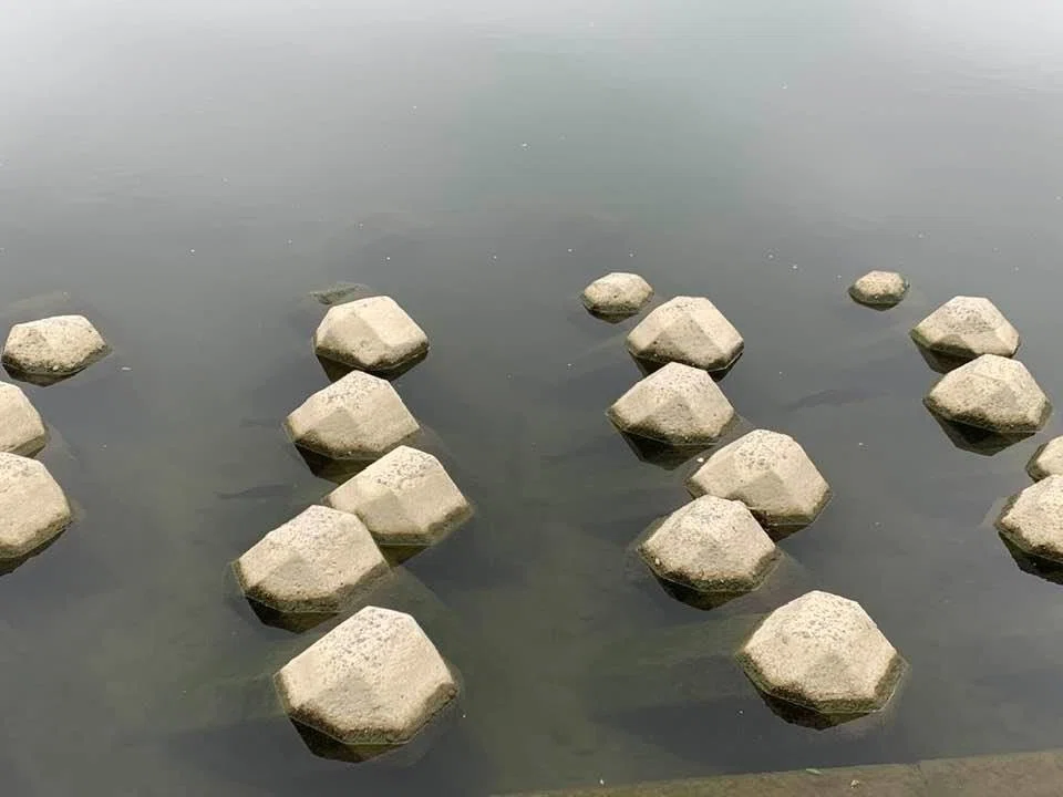 画像8