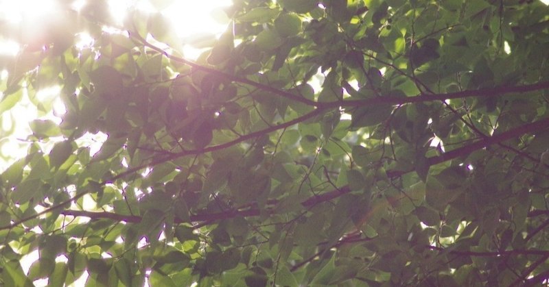 村田裕美 りた Note