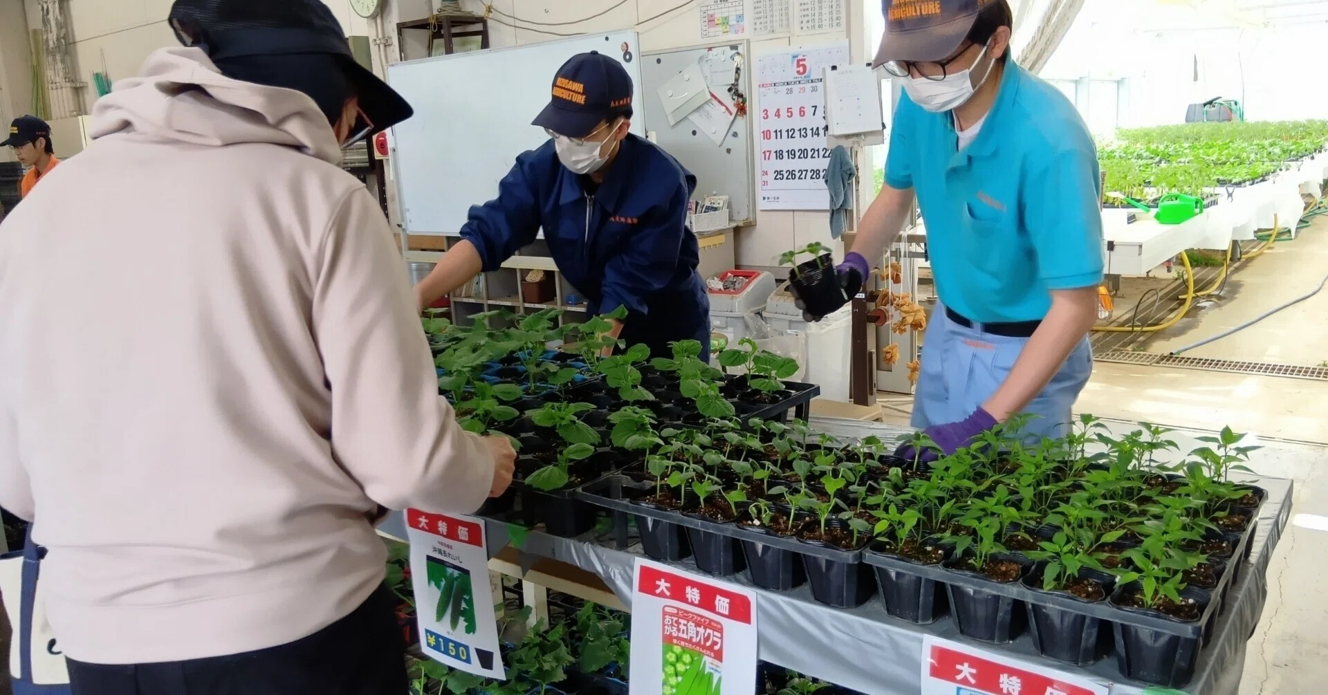 野菜苗・花苗即売会大盛況でした！｜岩手県立水沢農業高等学校