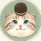 オレオ | すこやかセルフケア実践中